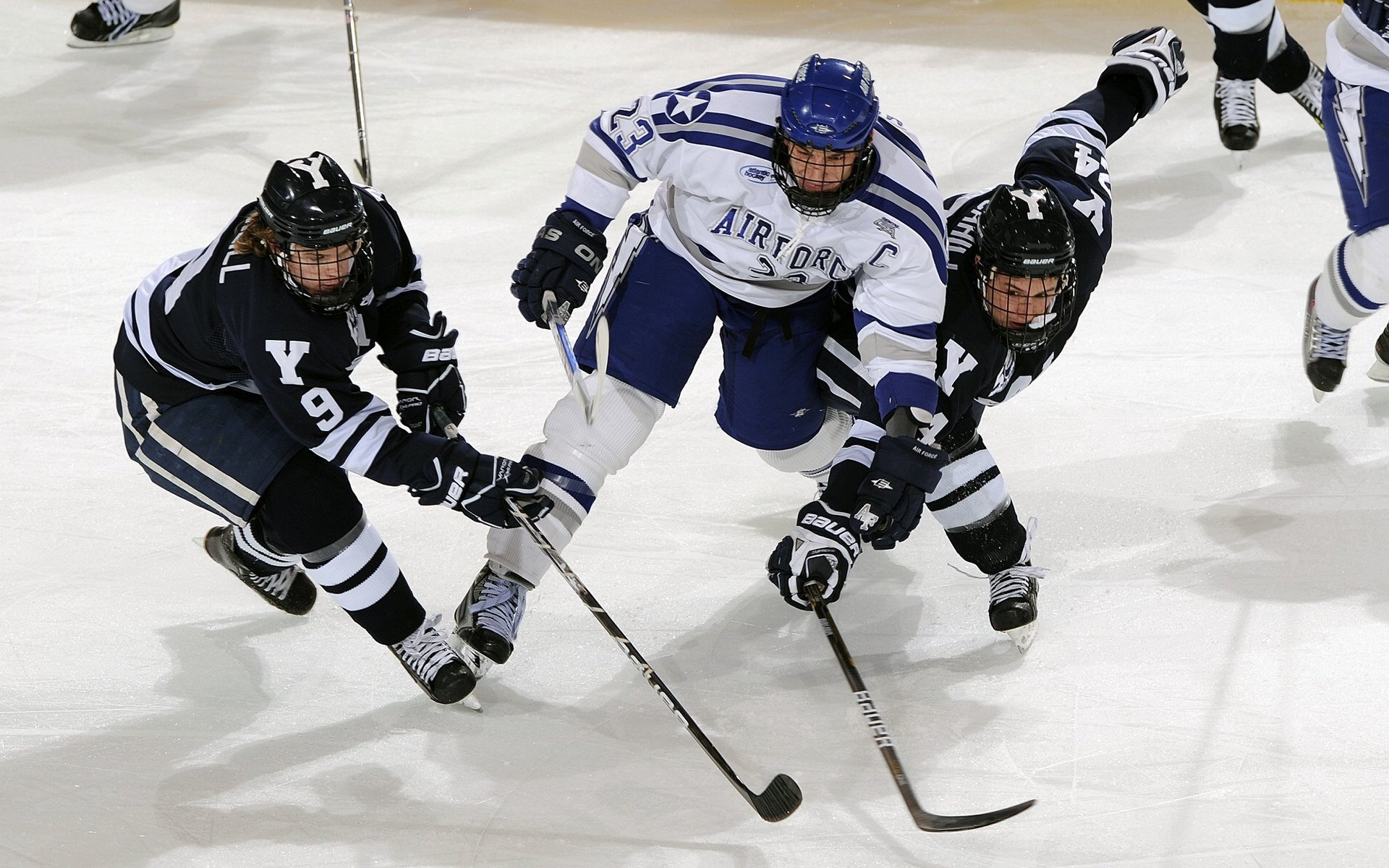 车迷文化节:动人的故事与精彩表演,车迷频道主持人都有谁